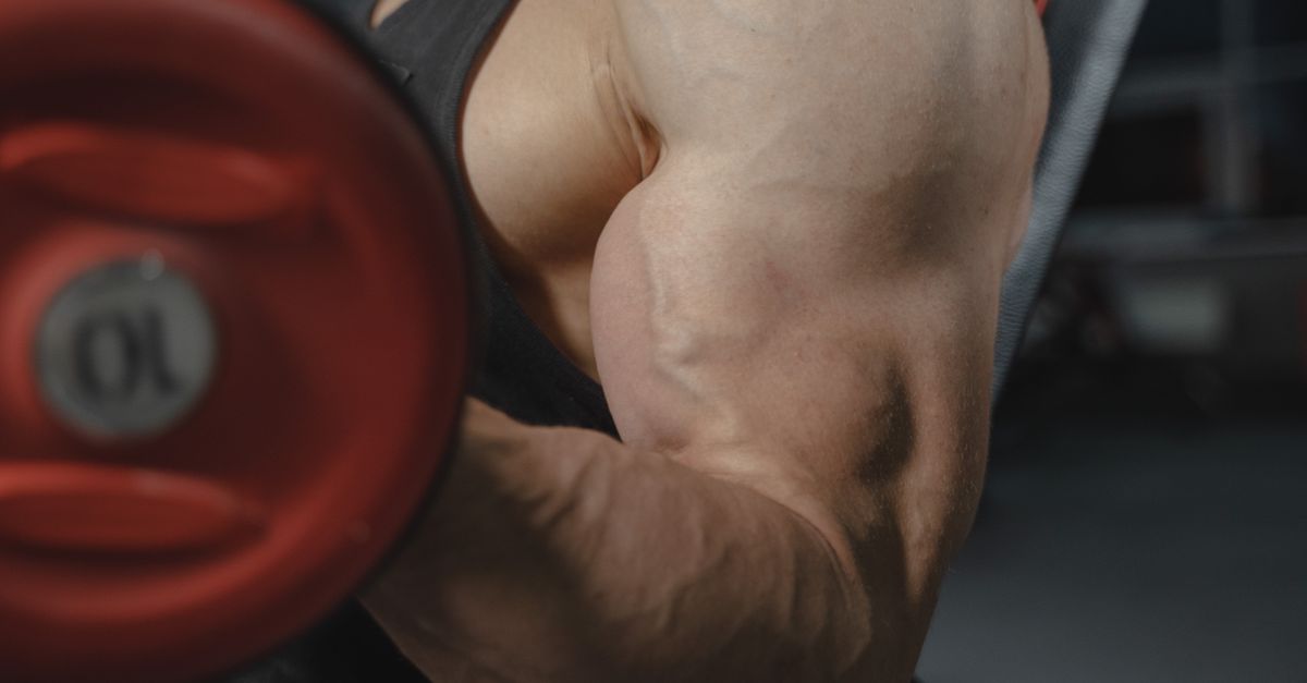 la bigorexie est un trouble de l'image corporelle caractérisé par une obsession excessive pour la musculature et la taille du corps, souvent liée à une pratique intense du sport et une insatisfaction permanente de son apparence.