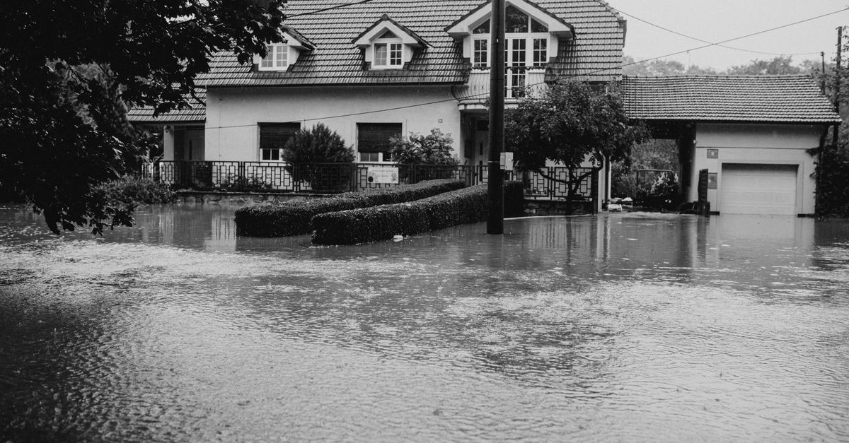 assurance infiltration d'eau : protégez votre habitation contre les dégâts des infiltrations d'eau grâce à une couverture adaptée et des garanties fiables.